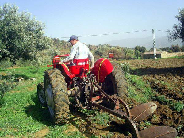 nouvelles exploitations agricoles et d’élevage