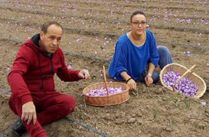 Aknouche Louisa et Mustapha