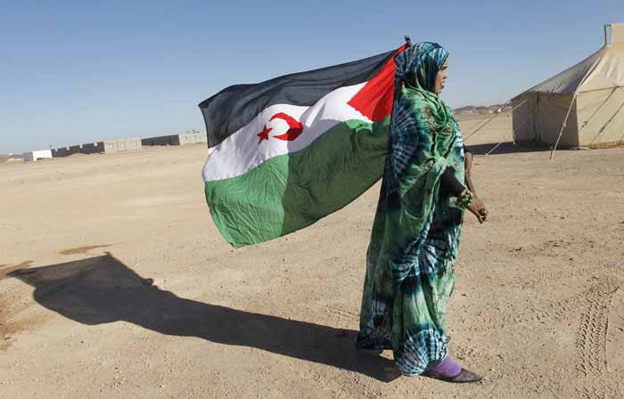 processus d’acharnement permanent contre l’Algérie