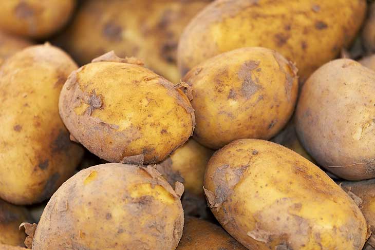 Hausse des prix de la pomme de terre: une nouvelle opération de déstockage