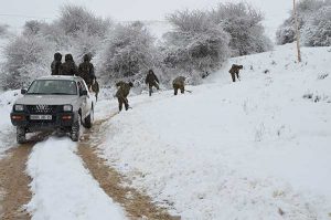 armée au secours