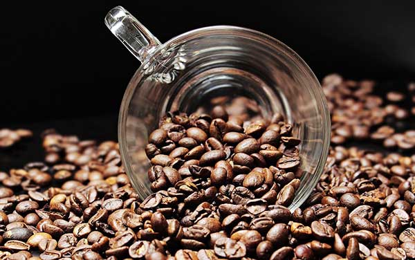 producteurs de café