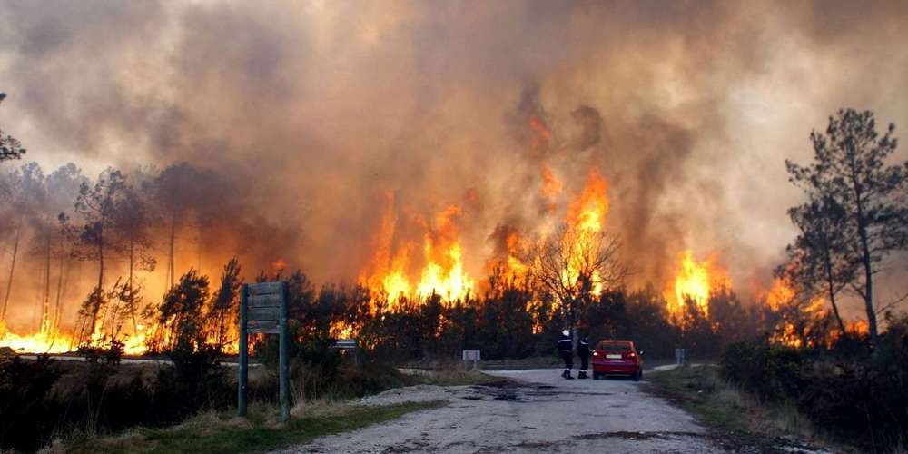 Le colonel Farouk Achour de la Protection civile : « Les récents incendies de forêt sont d'origine criminelle »