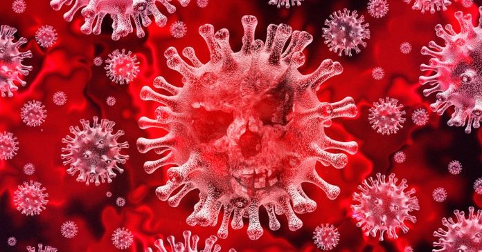 coronavirus
