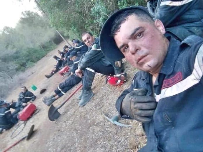 Forêts : près de 4.000 ha ravagés par les feux en moins d'une semaine