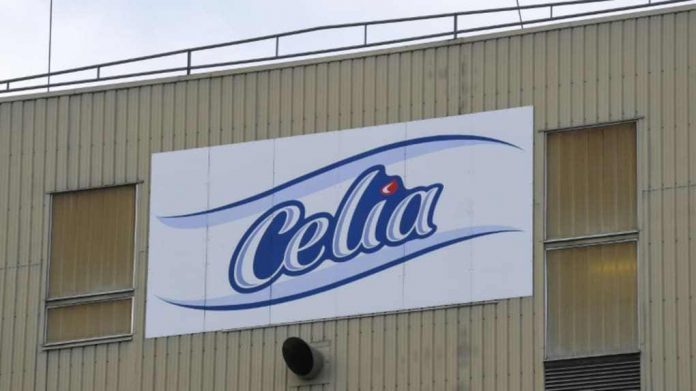 celia Célia-Algérie bloquée par ses employés