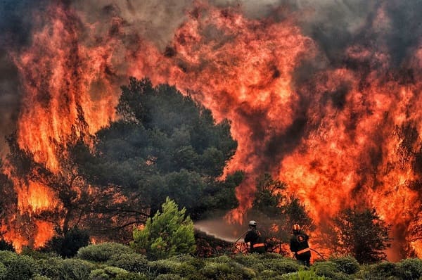 Tikjda: 200 ha de couvert végétal ravagés par le feu