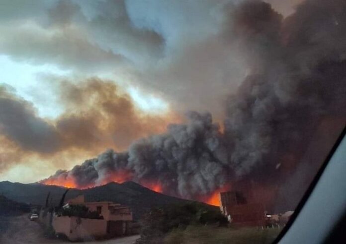 Feux de forêt : 8 décès à Béjaïa