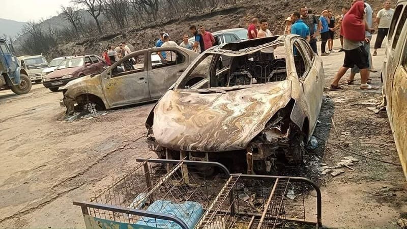 Feux de forêt : hausse du bilan des victimes à 34 martyrs