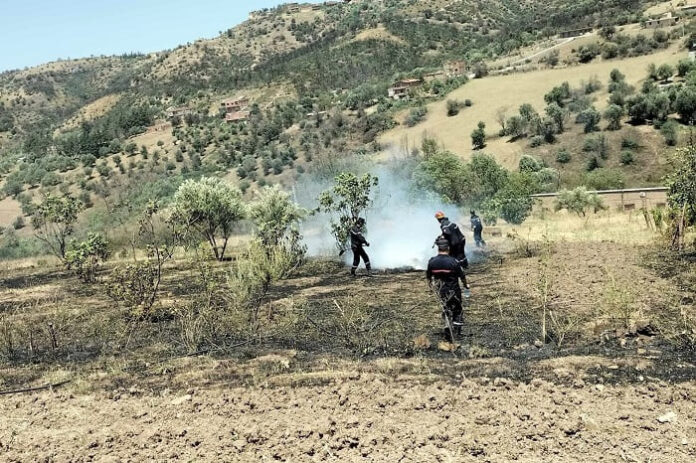 Tizi-Ouzou : 15 foyers d'incendies maitrisés