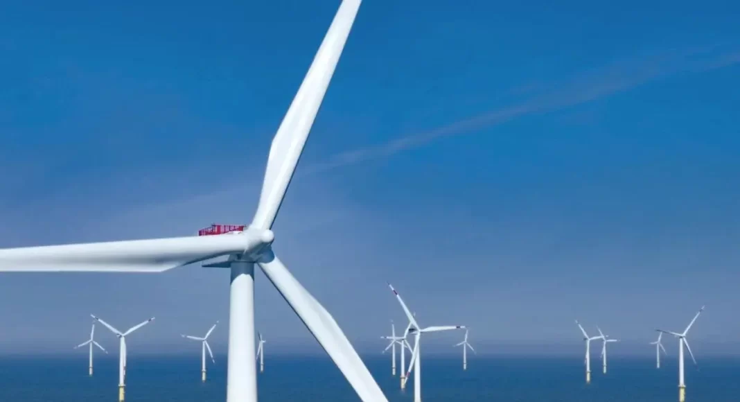 Des perspectives prometteuses pour l'éolien offshore en Algérie