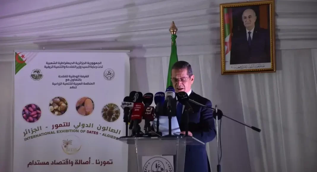 Henni annonce un programme pour la plantation d'un million de palmiers