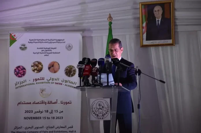 palmerie Henni annonce un programme pour la plantation d'un million de palmiers