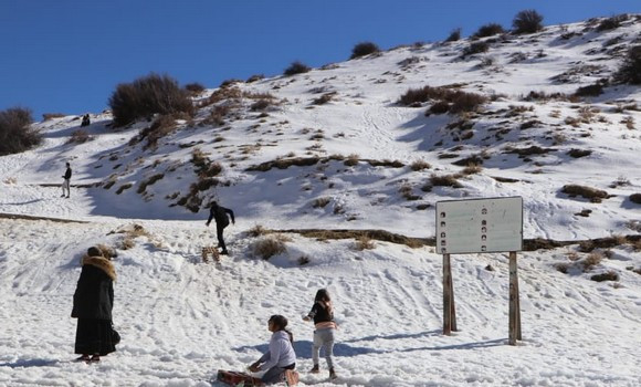 35734ba21a927a1aeb75dce81f2a7464_M