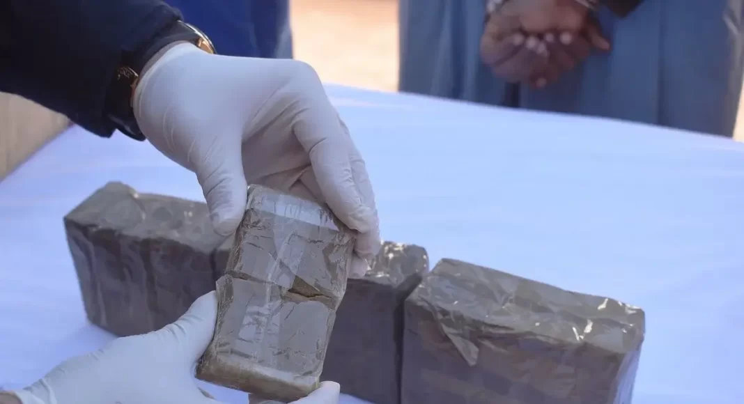 Le Makhzen et les renseignements marocains impliqués dans la contrebande de drogue vers l'Algérie