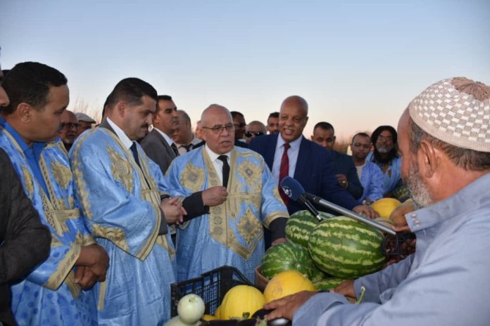 youcef-cherfa-tindouf