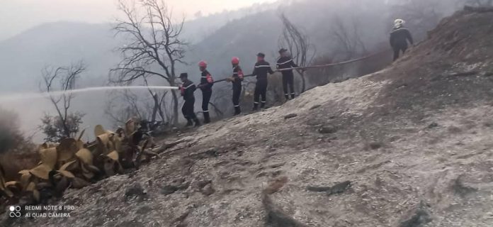 incendies-tizi-ouzou