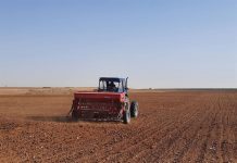 Agriculture : 78 guichets uniques pour approvisionner les agriculteurs en semences et fertilisants