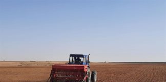 Agriculture : 78 guichets uniques pour approvisionner les agriculteurs en semences et fertilisants