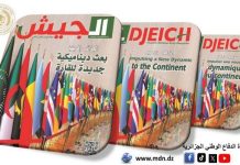L’Algérie porte une attention particulière à l’unification des rangs en Afrique