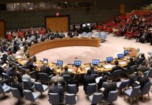 Le Conseil de sécurité adopte le plan de paix américain pour Gaza