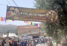 Tizi-Ouzou : la figue mise à l’honneur au village Lemsella