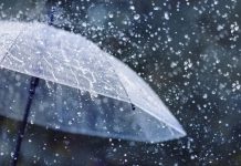 Des pluies attendues sur plusieurs wilayas du Centre et de l’Est à partir de jeudi