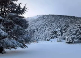 Algérie : Des chutes de neige vendredi et samedi sur plusieurs wilayas du centre et de l’est